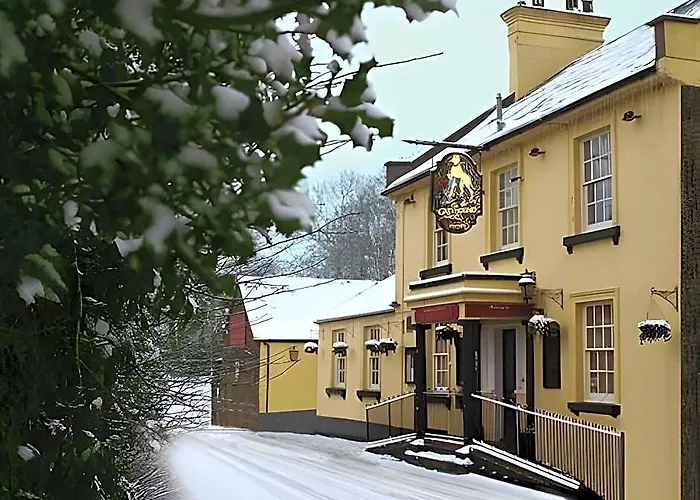 The Greyhound Wigginton